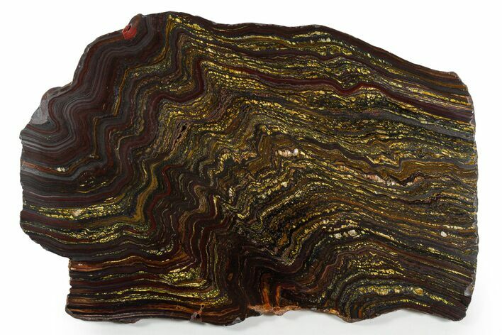 Polished Tiger Iron Stromatolite Slab - Billion Years #351977